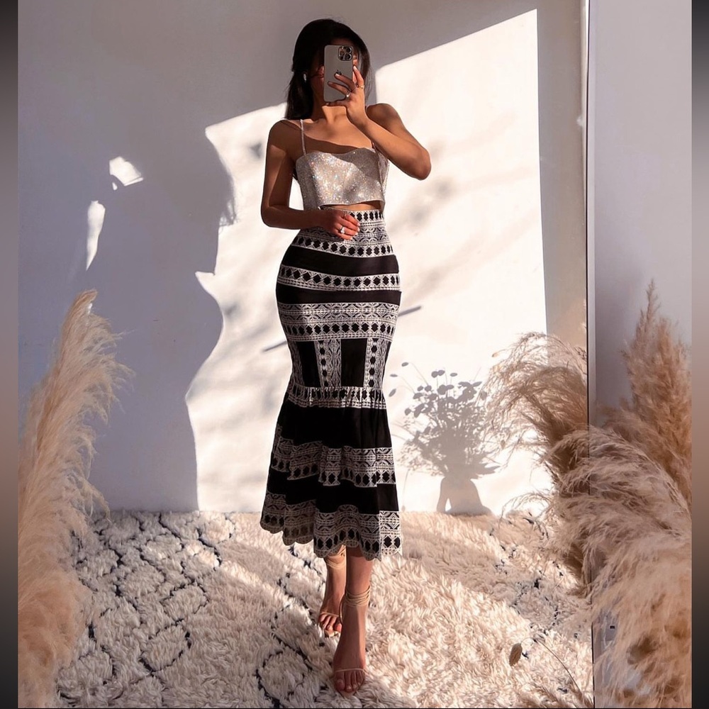 ZARA EMBROIDERED MIDI SKIRT